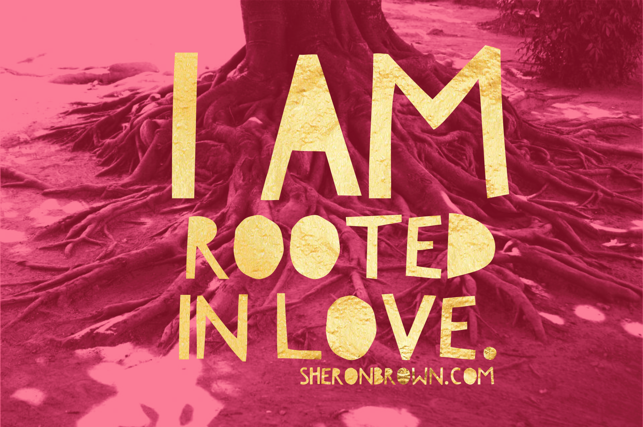 A Message from The River: Be Rooted