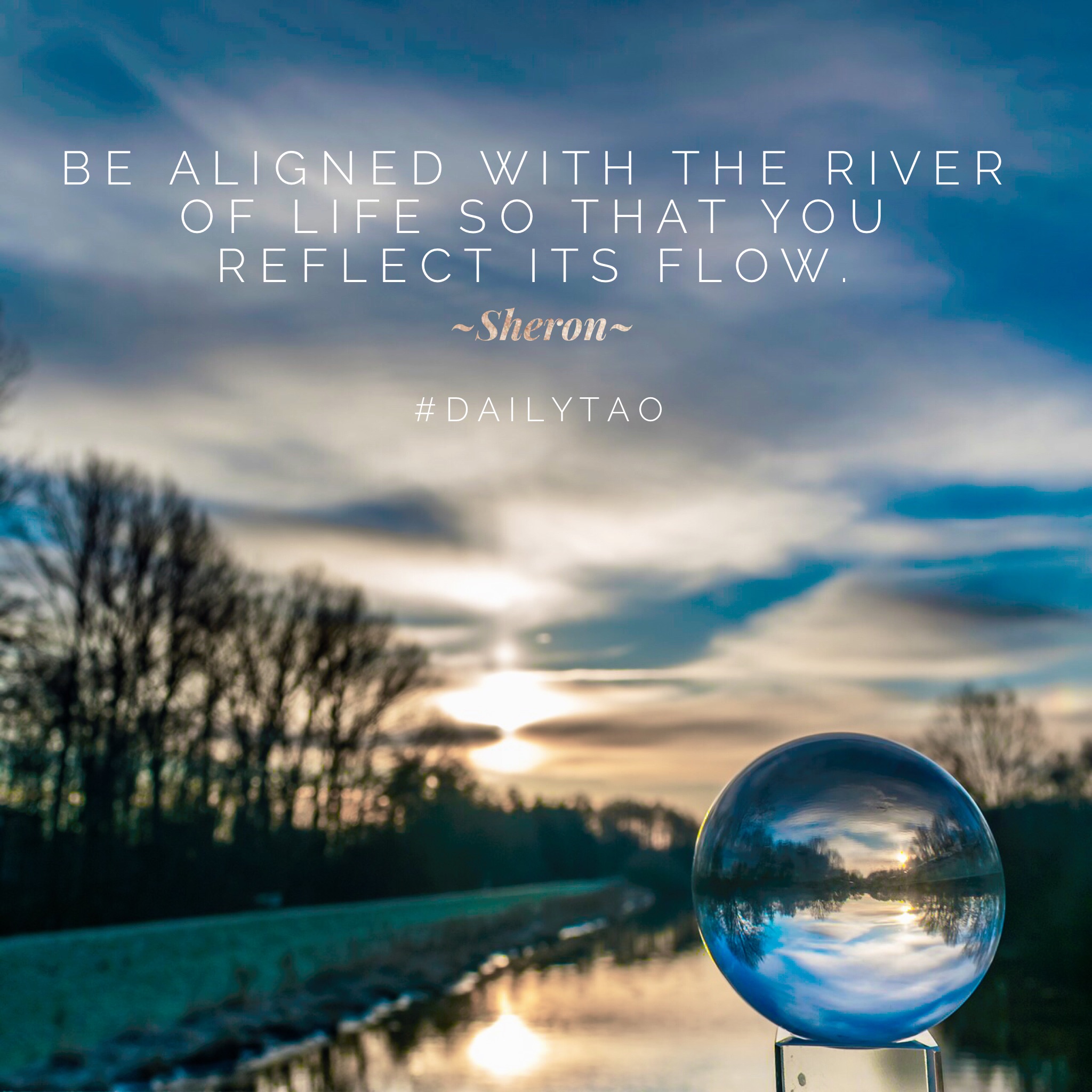 Your Contribution to the World