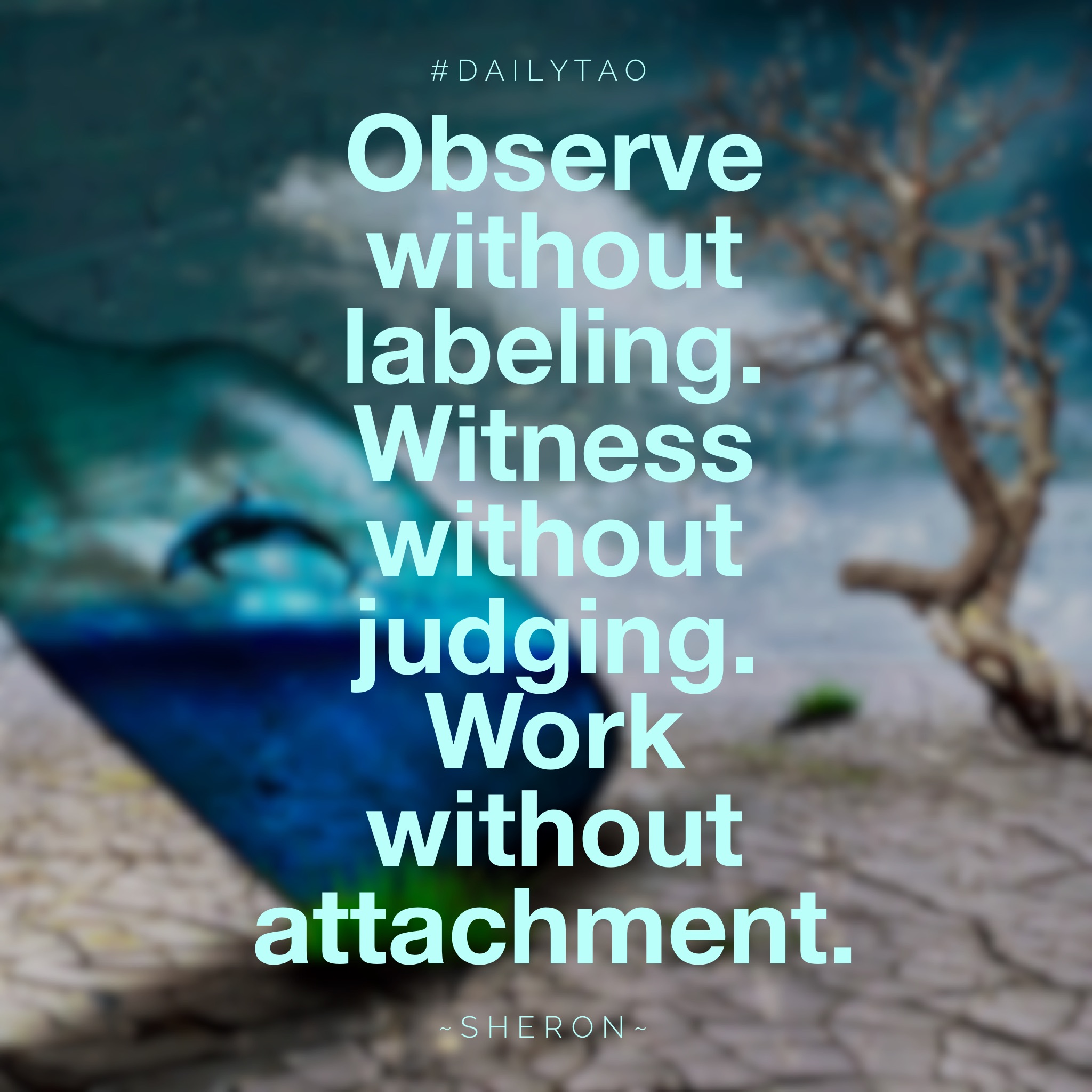 Release Your Expectations