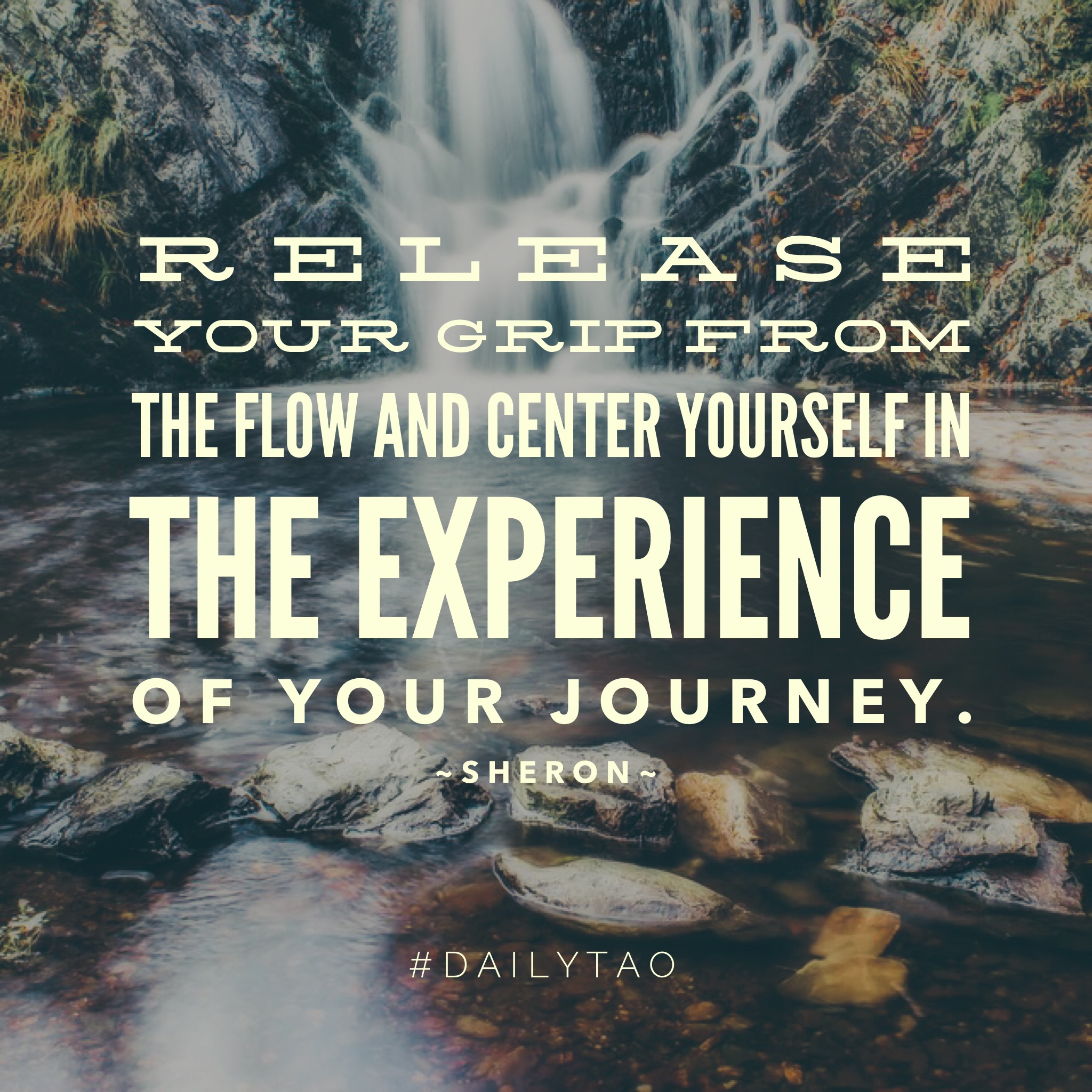 Your Only Real Choice