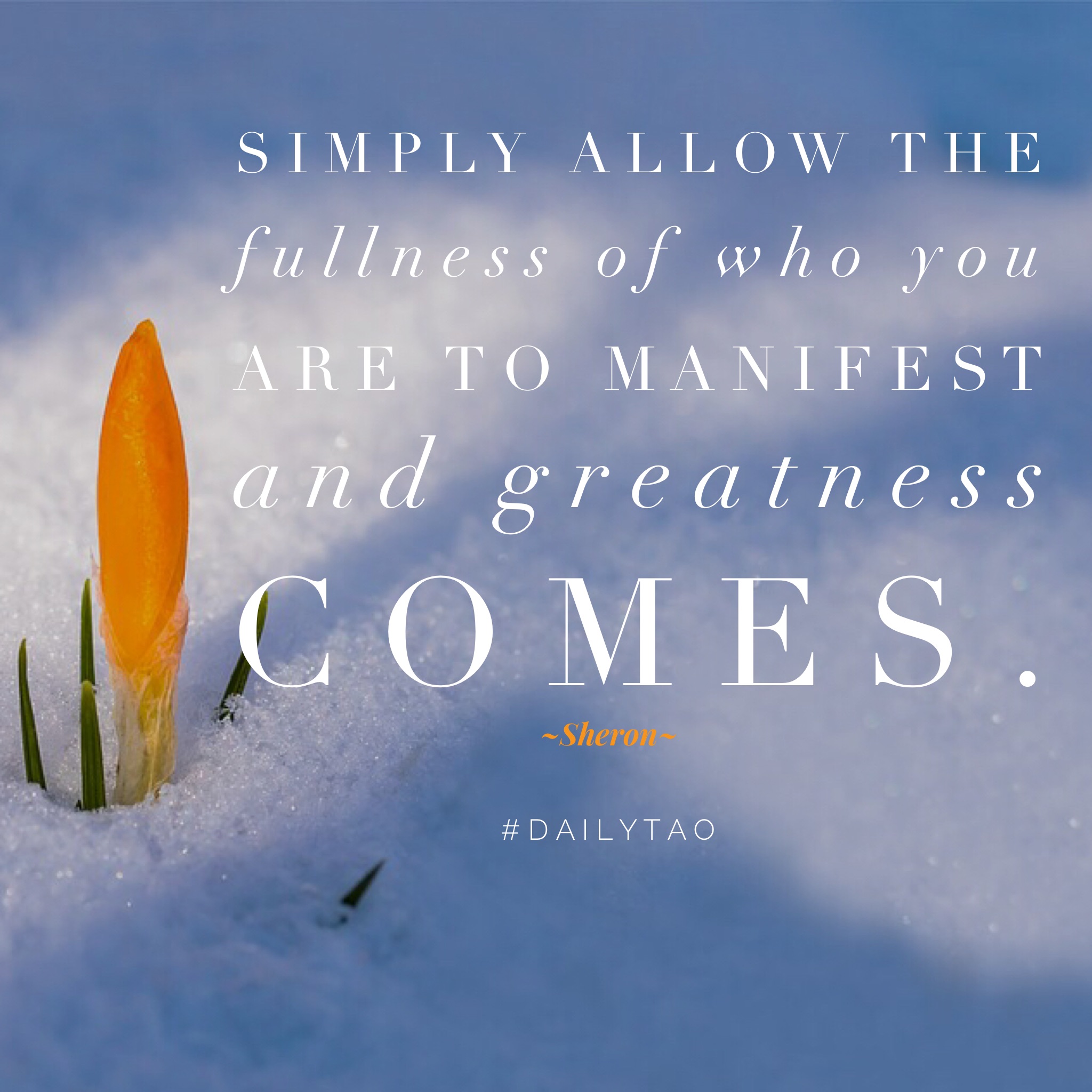 Greatness Is Allowed Not Achieved