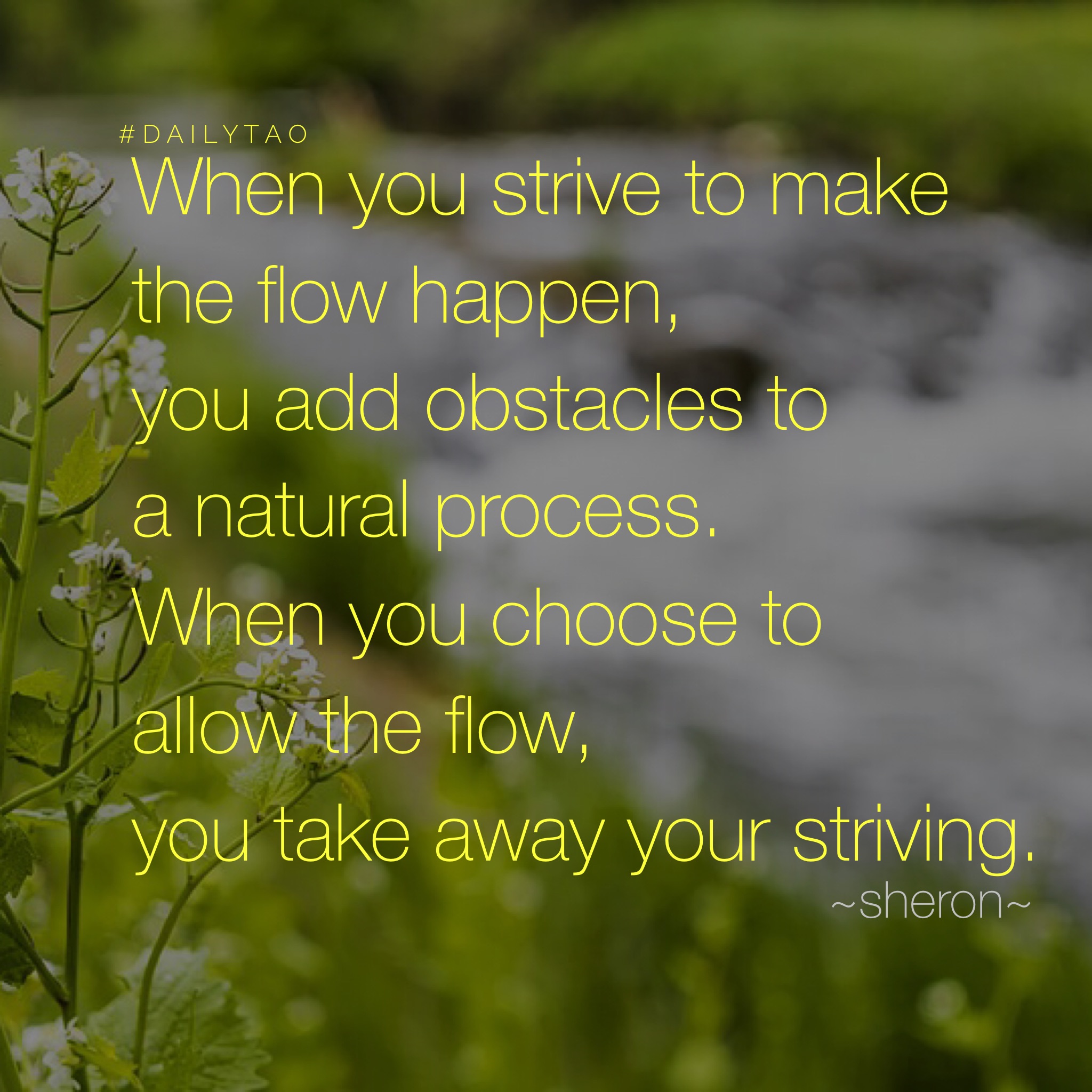 Allow the Natural Process