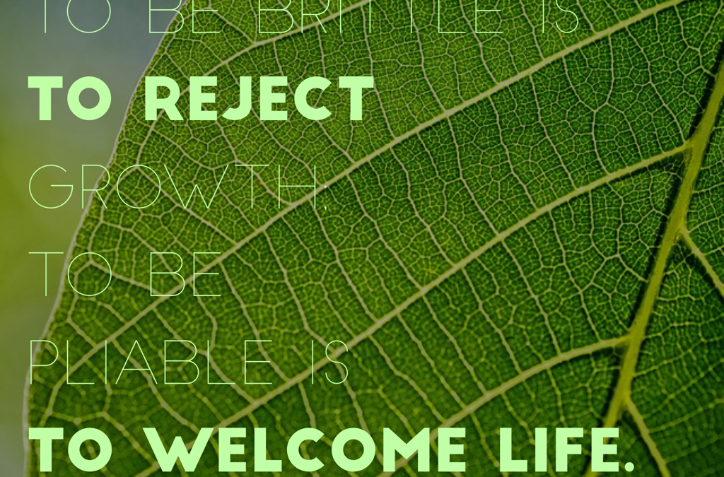 Will You Choose Growth?