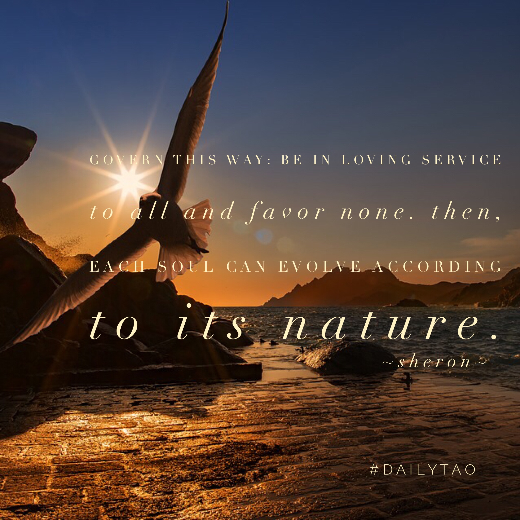 Do You Really Trust the Process?