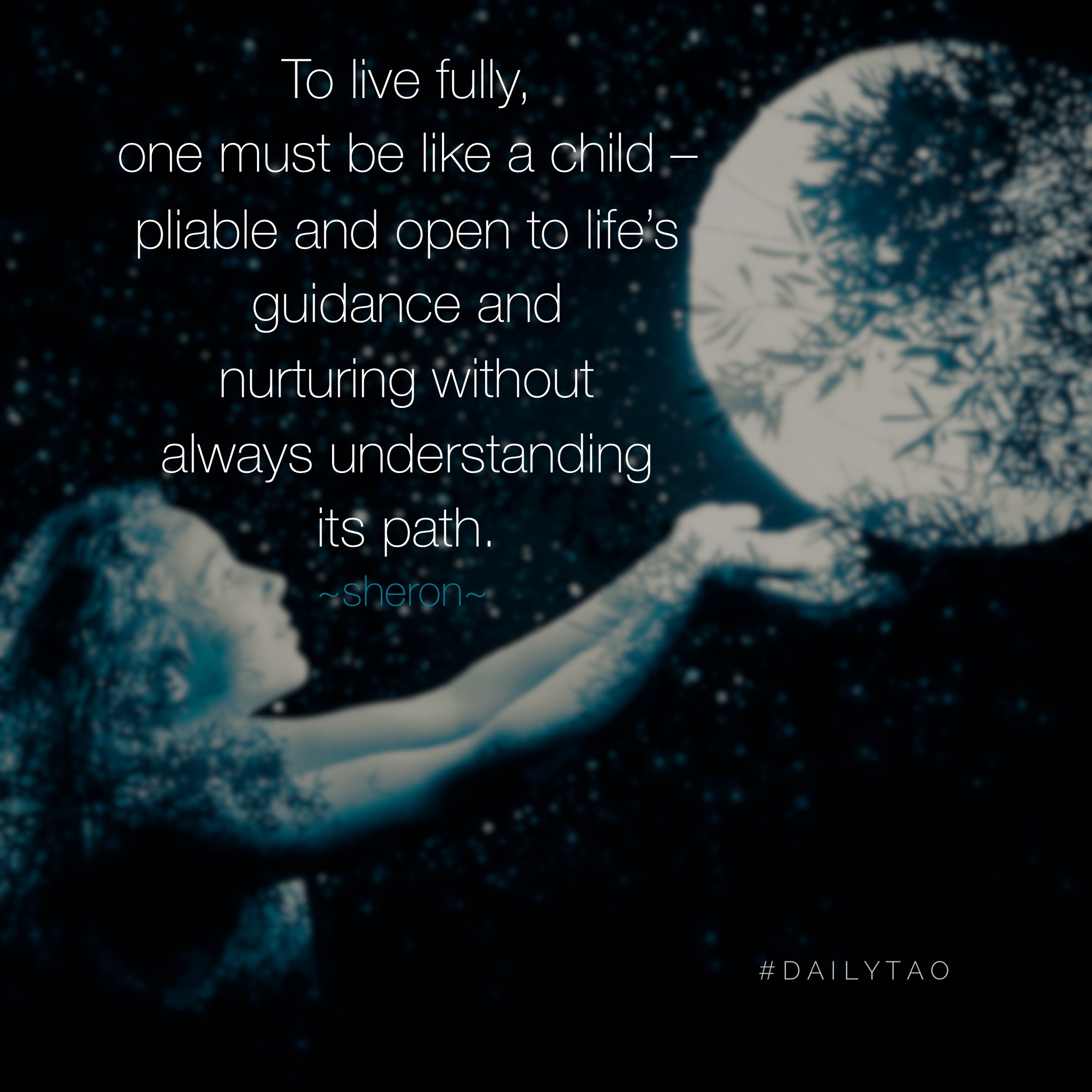 Your Relationship to Wisdom