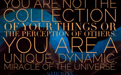 Distractions Rob You