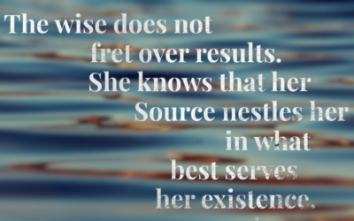 Fully Experience the Journey