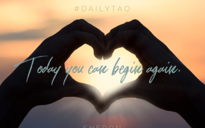 Love Affair with Life