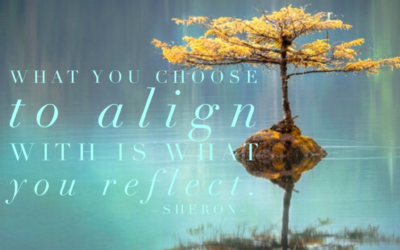 Your Values Alignment