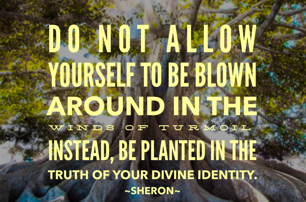 Rooted in Your Greatness