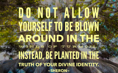 Rooted in Your Greatness