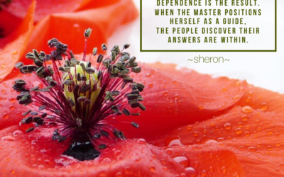 You Have Your Answers