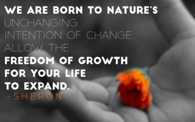 Freedom and Expansion