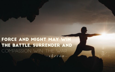 Compassionate Warriors Win