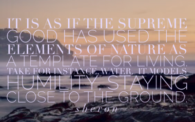 Template for Respect