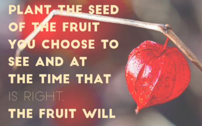 What Are You Planting?