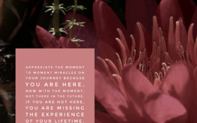 Experience Your Lifetime