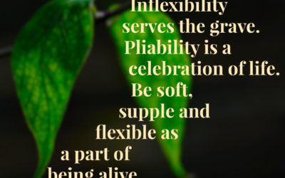 Be A Disciple of Life