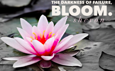 The Is Room to Bloom