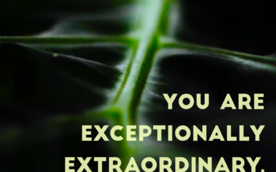 Remember What You Are