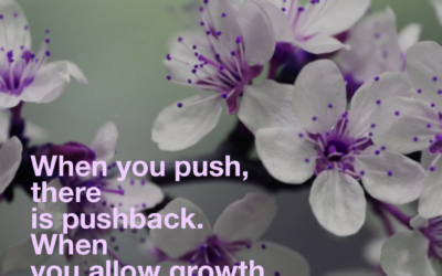 Leadership and Security