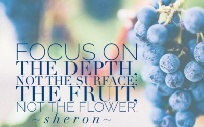 Focus on the Fruit