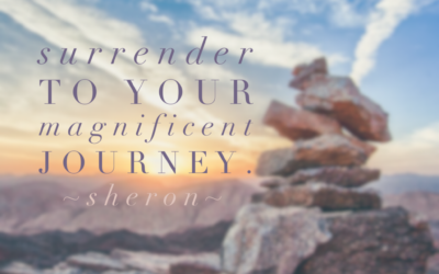 Your Magnificent Journey