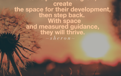 Teach Without Teaching